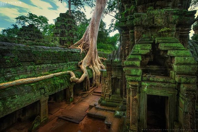 Tour Privé des Temples d’Angkor – Une Expérience Inoubliable⭐⭐⭐⭐