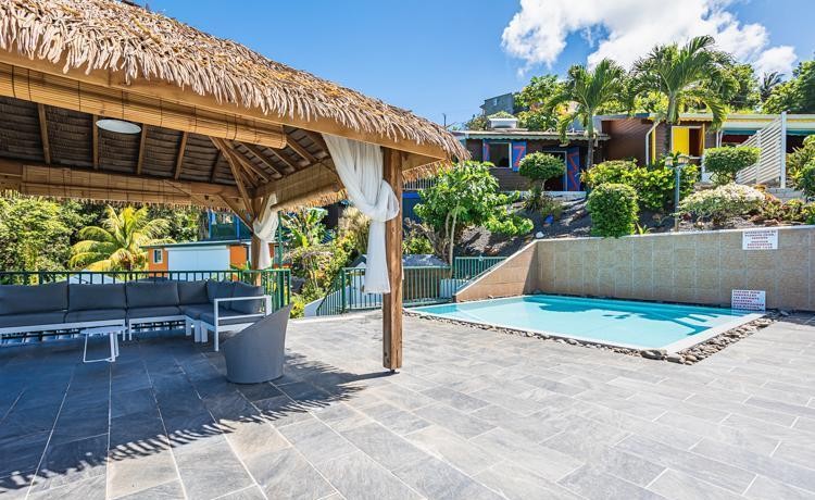 Palmier | Deshaies (Guadeloupe)⭐⭐⭐⭐